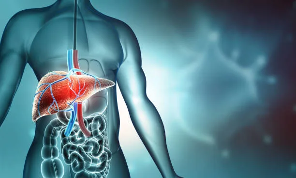 types of liver transplant