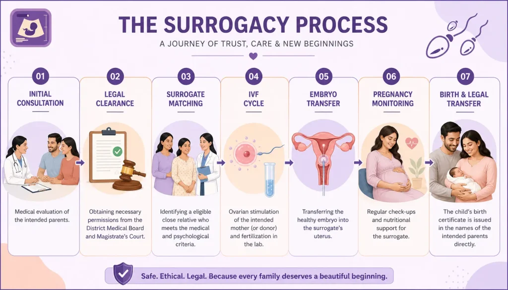 Infographic showing step by step surrogacy process in India including initial consultation, legal clearance, surrogate matching, IVF cycle, embryo transfer, pregnancy monitoring and birth legal transfer