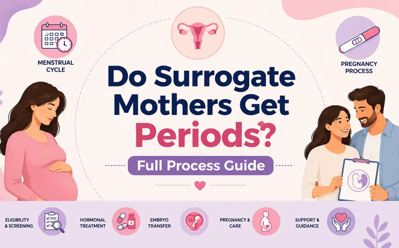 Surrogate mother illustration explaining periods during surrogacy, hormonal treatment, embryo transfer, and pregnancy process.
