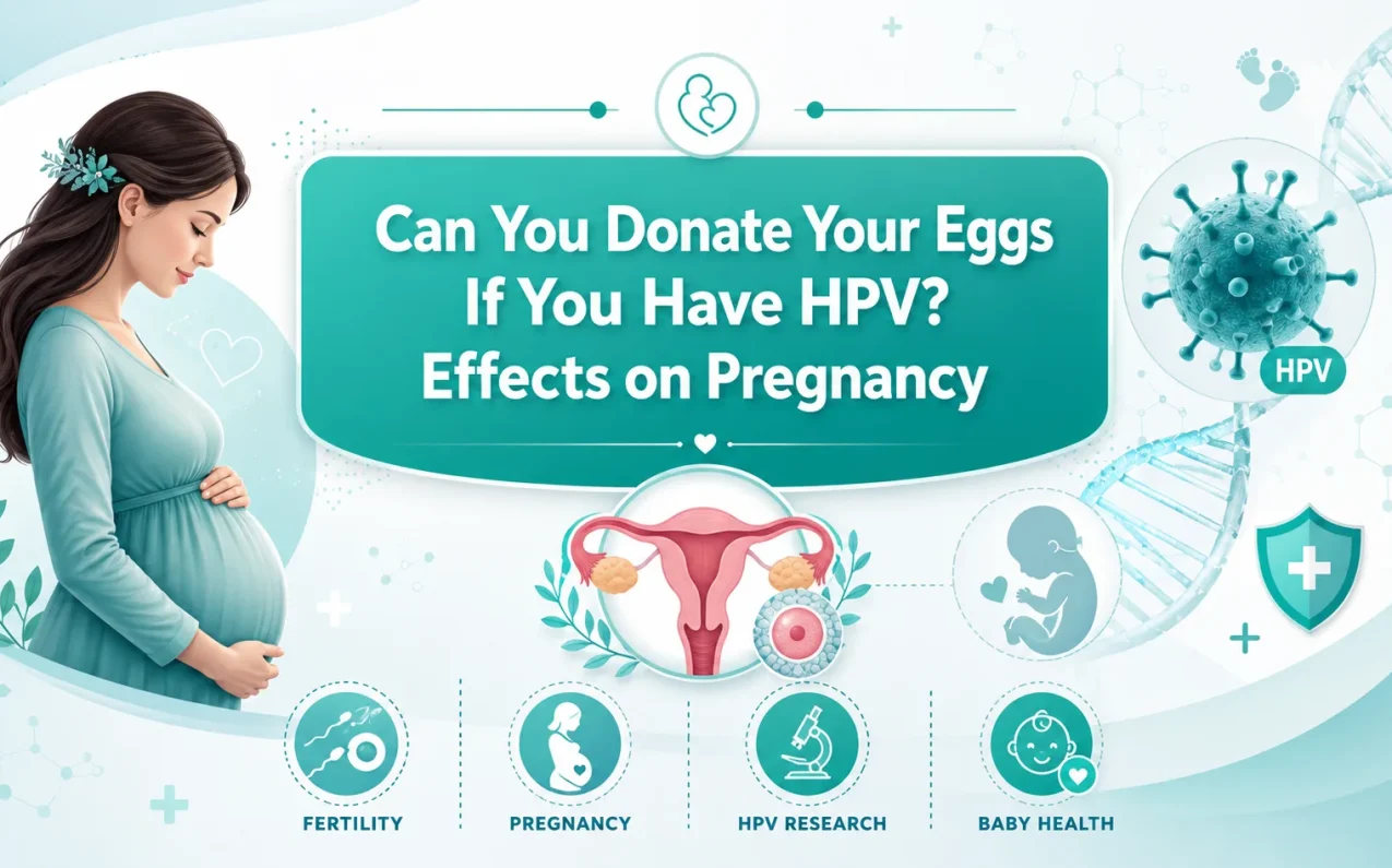 Can you donate your eggs if you have HPV? Effects on pregnancy showing HPV impact on fertility, egg donation eligibility, pregnancy risks, vaccination, and medical consultation guidance in a healthcare infographic