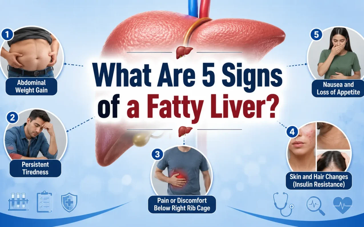 Infographic showing the 5 signs of fatty liver disease, including abdominal weight gain, persistent fatigue, pain below the right rib cage, skin and hair changes linked to insulin resistance, and nausea with loss of appetite.
