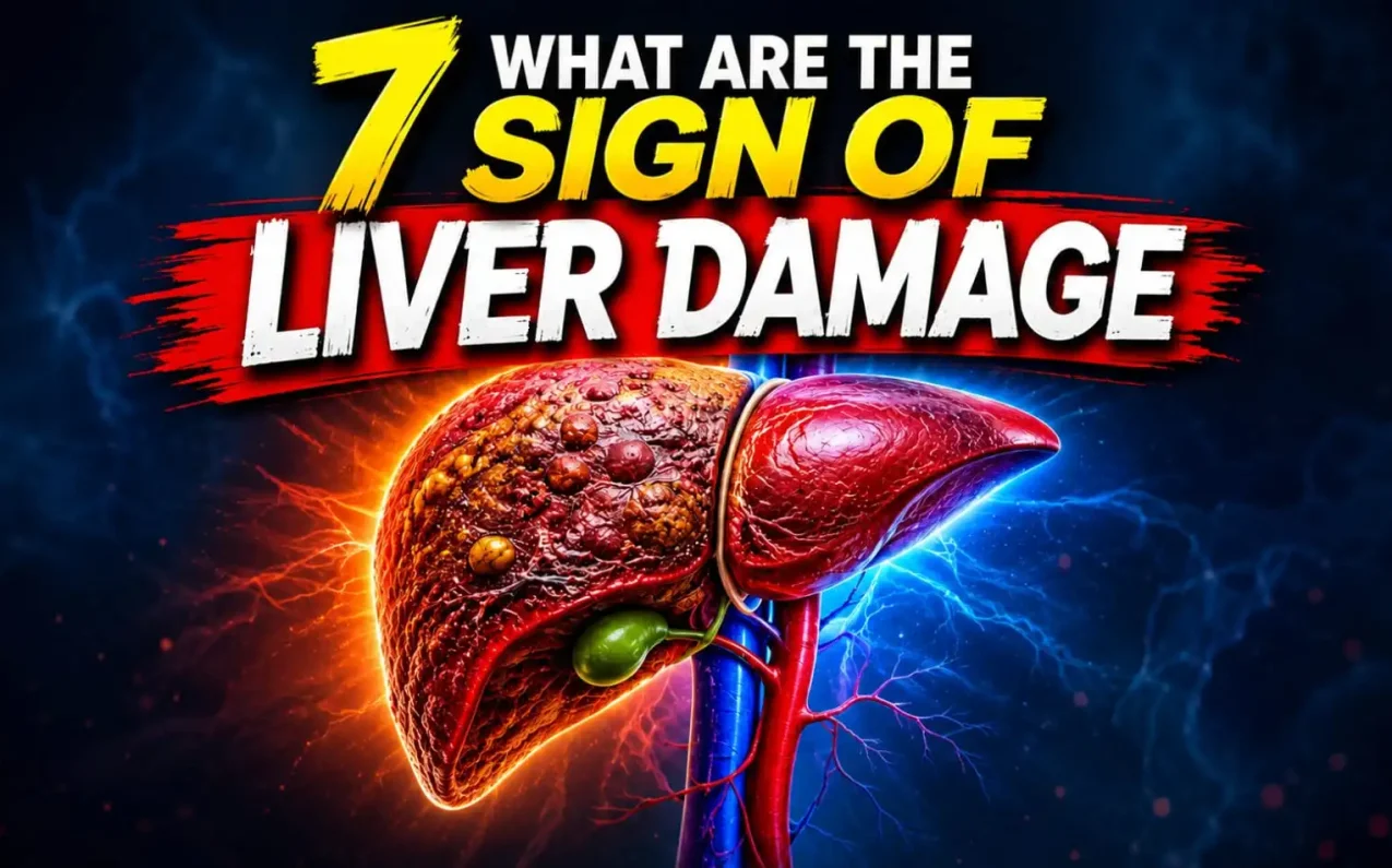 Infographic showing the 7 signs of liver damage, including fatigue, jaundice, abdominal pain, dark urine, nausea, swelling, and itching, with a detailed illustration of a damaged liver.