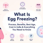 what is egg freezing