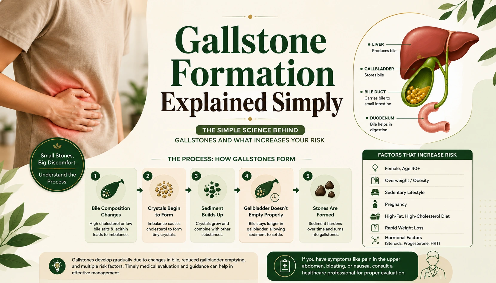 Gallstone Formation Explained Simply medical infographic showing how bile composition changes, reduced gallbladder emptying, crystal formation, sediment buildup, and gallstone development, along with common risk factors.