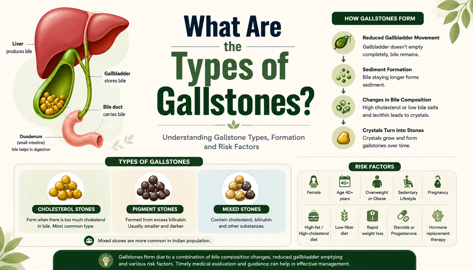 What Are the Types of Gallstones? Medical infographic showing cholesterol stones, pigment stones, and mixed stones, with gallstone formation, bile composition, and associated risk factors.